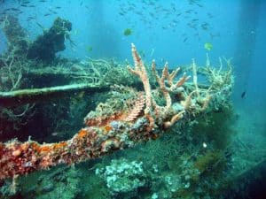 philippine scuba diving reviews