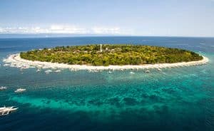 tubbataha reef diving philippines