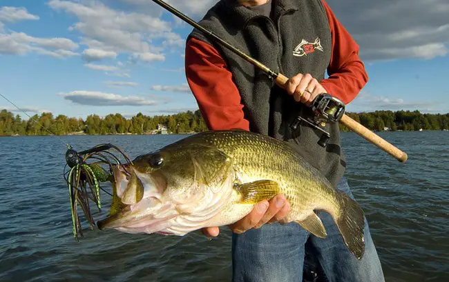 Best spinning reel for bass fishing