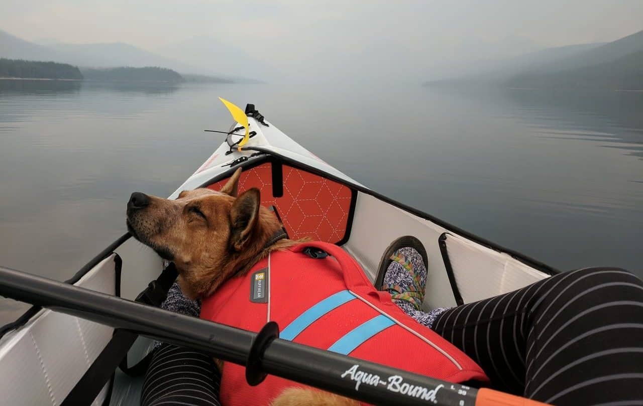 best kayaks for dogs