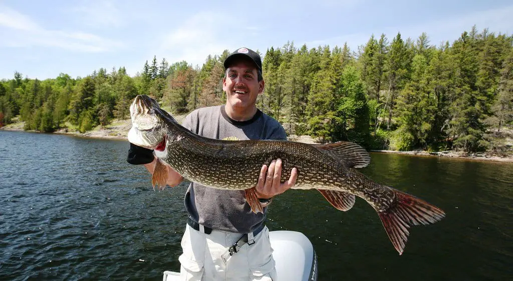 best northern pike fishing in the united states