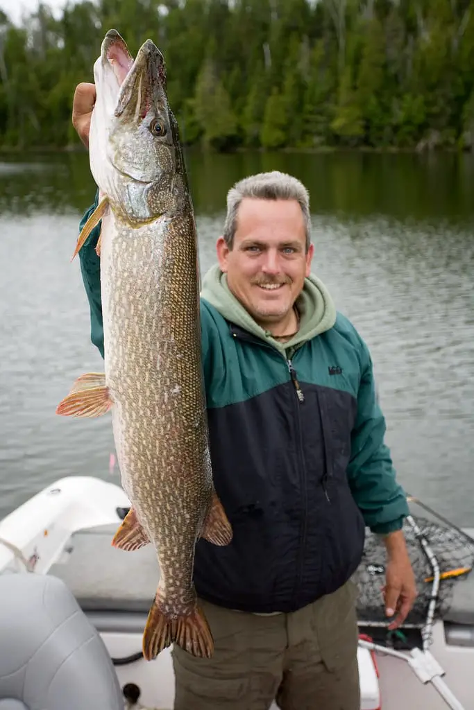 fishing planet michigan pike farming tips