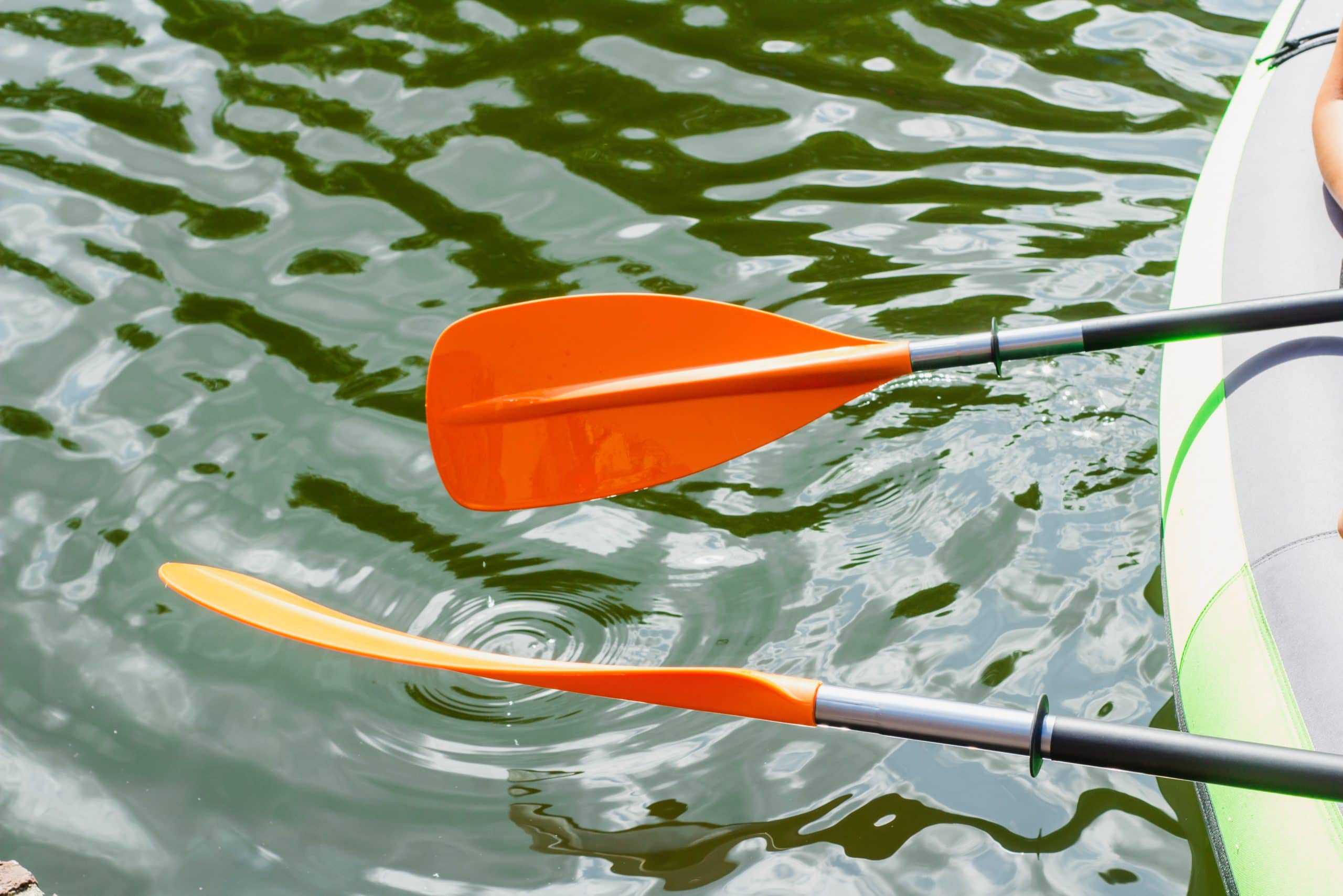adjustable kayak paddle
