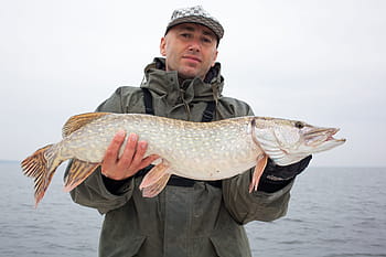 Pike fishing tips