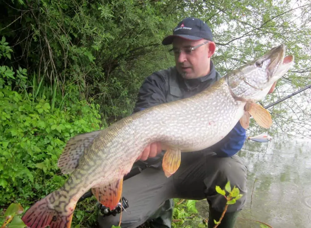 best lures for northern pike