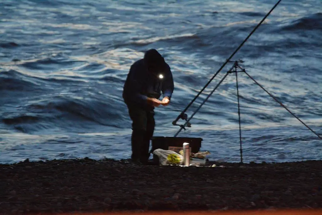 surf fishing at night