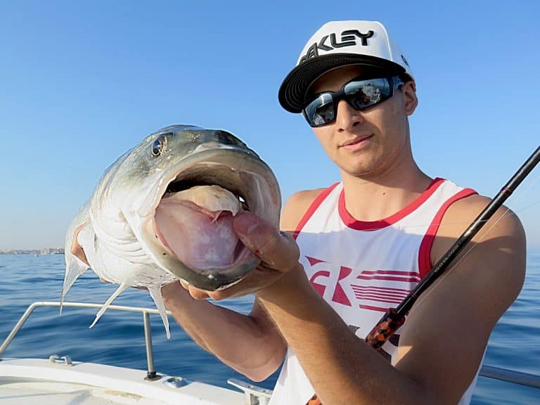 Best Fishing Sunglasses Under $50 In 2022