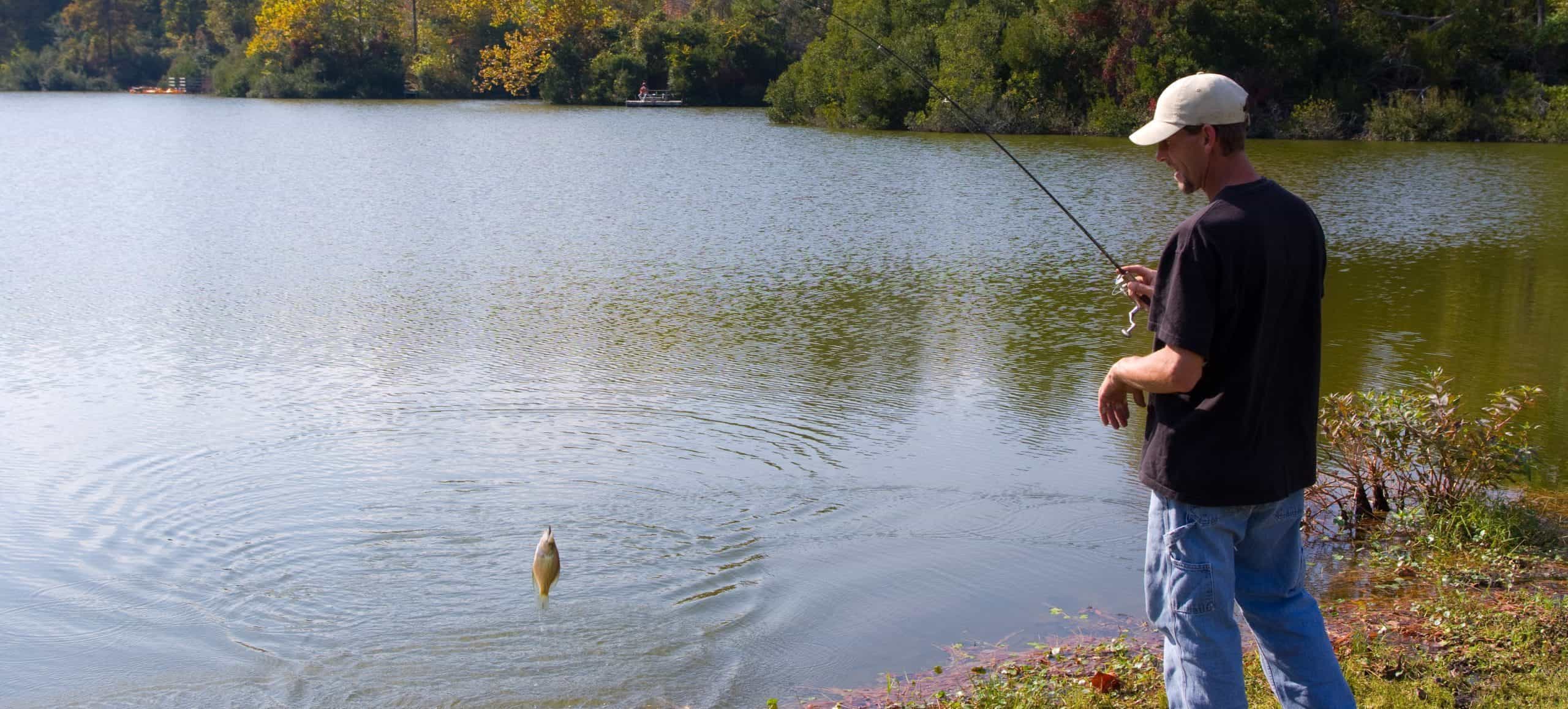 fishing line for crappie