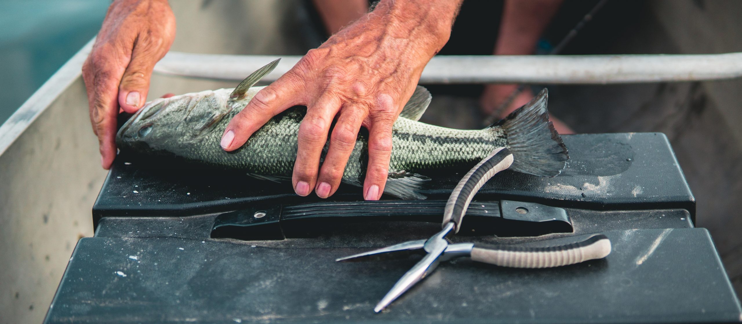 best fishing pliers