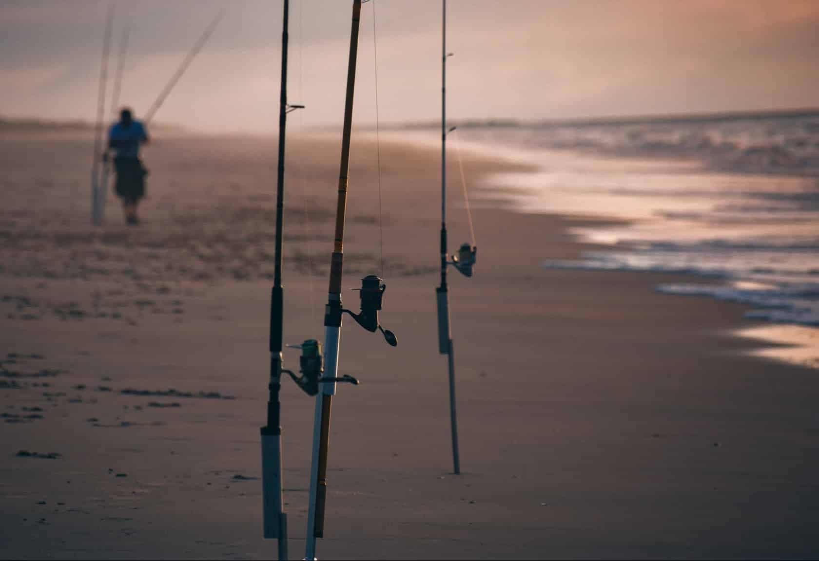 Fishing At High Tide Is It Better?