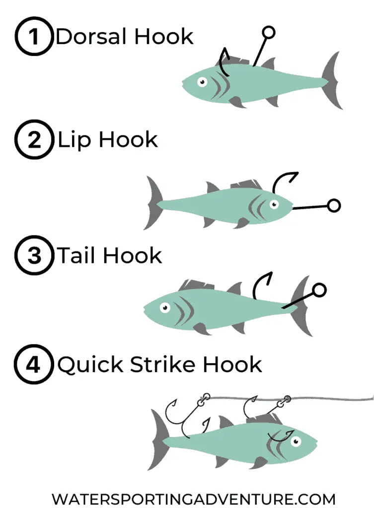 how to hook a minnow