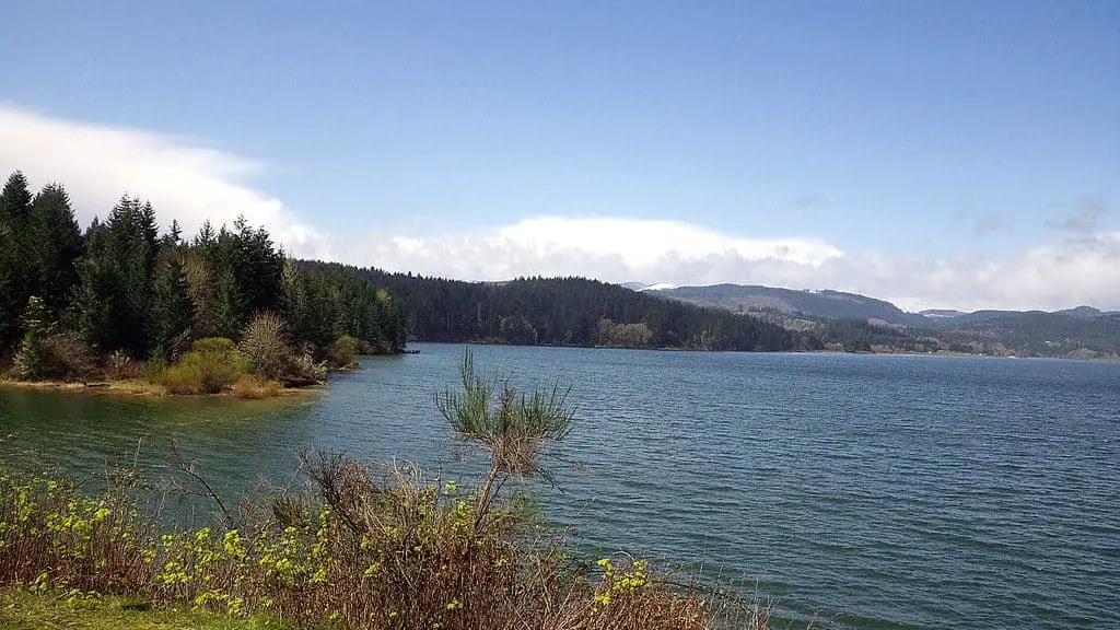 henry hagg fishing oregon