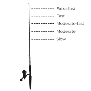 Fishing Rod Power And Action Explained