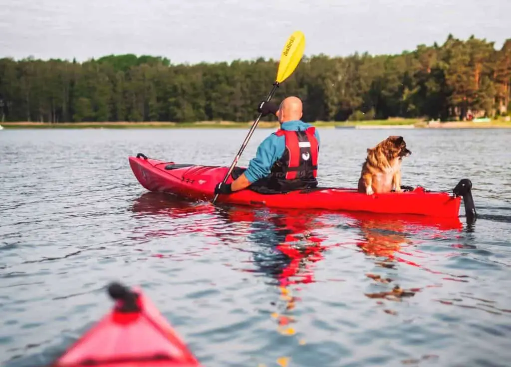 kayak rudder kits