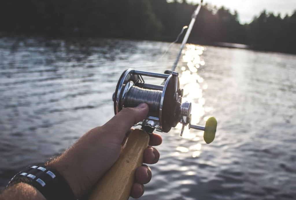 type of reels for fishing