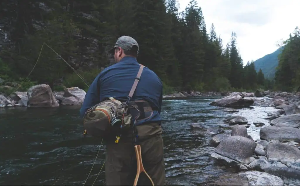 fly fishing for trout