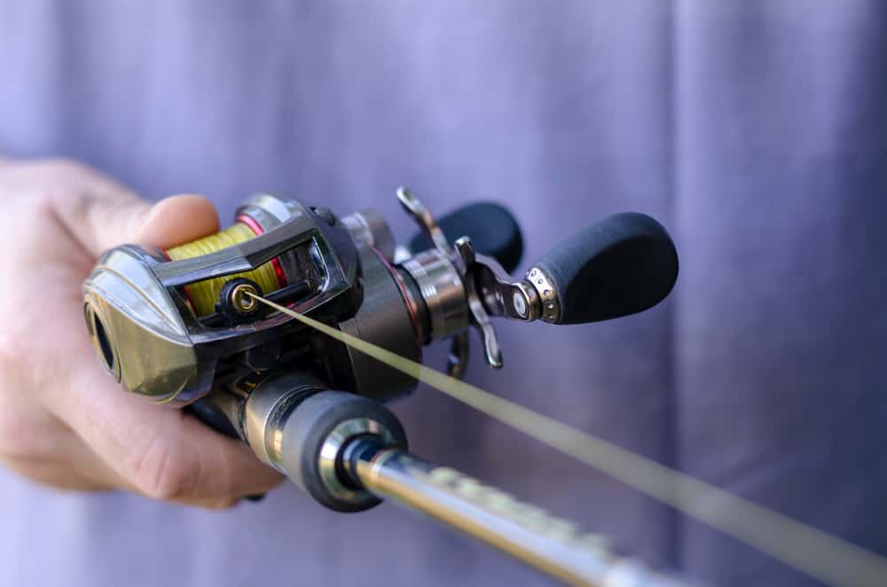 Fishing - Fishing Rod