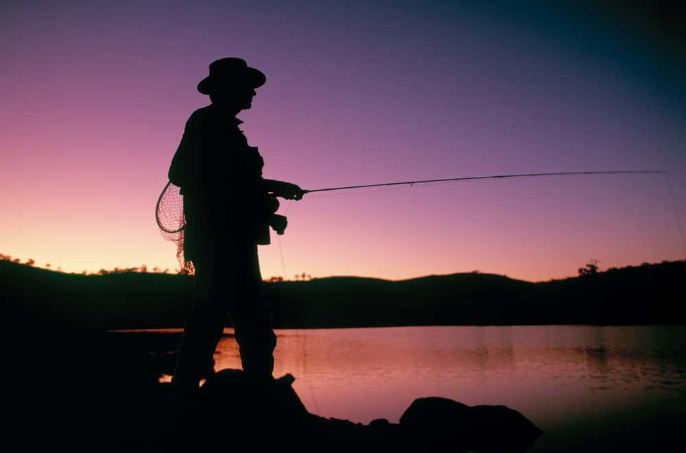 Trout fishing at night with lights