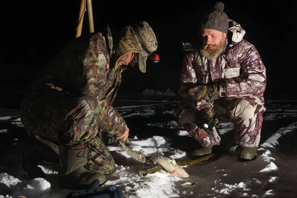 Ice fishing at night for pike