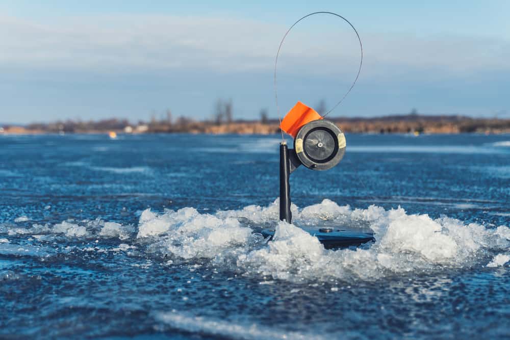 10 Best Ice Fishing Tip Ups
