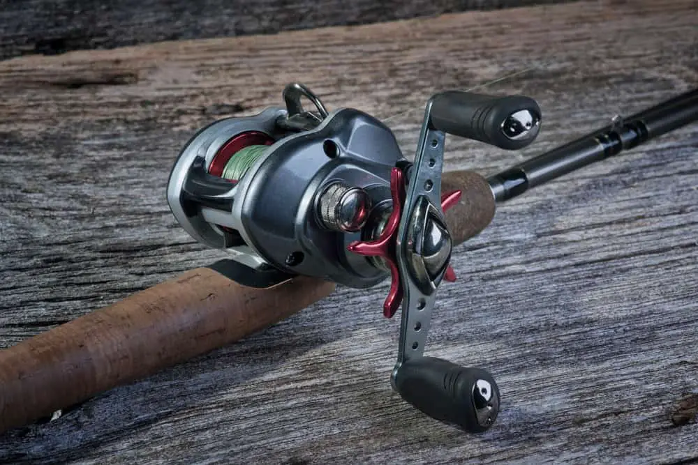 Level Wind Reel Vs Baitcaster Water Sporting Adventure