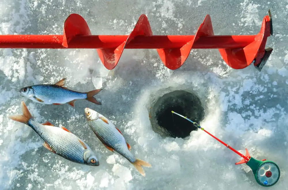 How Deep To Lower Your Line When Ice Fishing