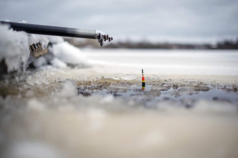 10 best ice fishing lures for perch