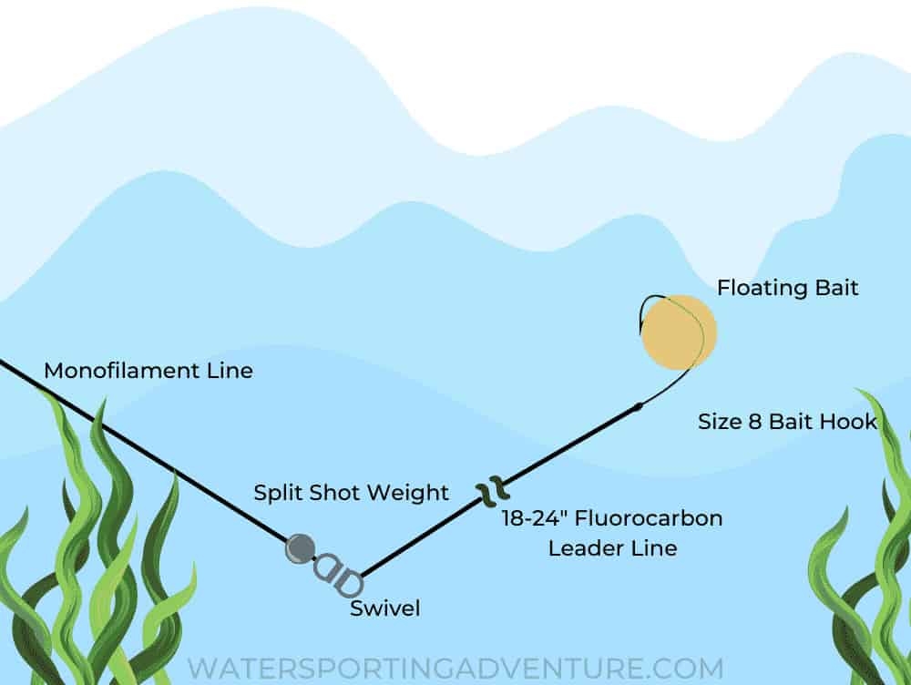 Diagram showing how to set up a split shot trout fishing line