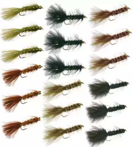 Wooly Bugger Trout Fly Fishing Flies Collection - 18 Flies by Discountflies