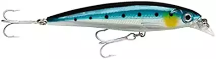 Rapala X-Rap Saltwater Fishing Lure