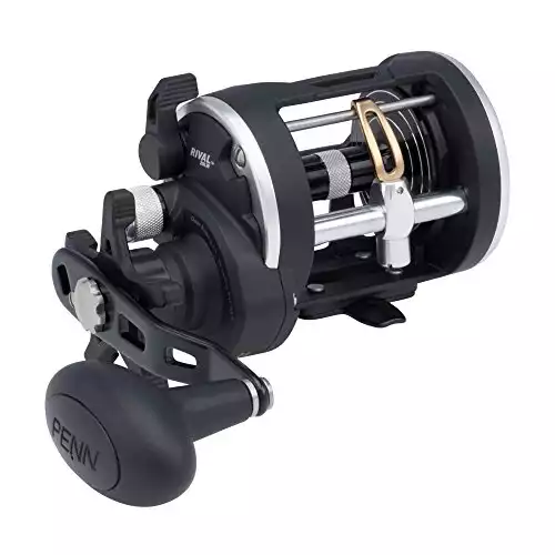 Penn RIV30LW Rival Level Wind Reel