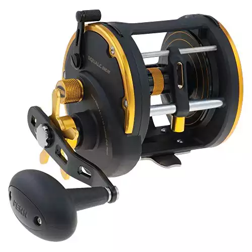 PENN Fishing SQL50LW Squall Level Wind Catfish Reels