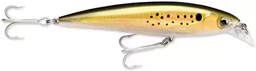 Rapala X-Rap Saltwater